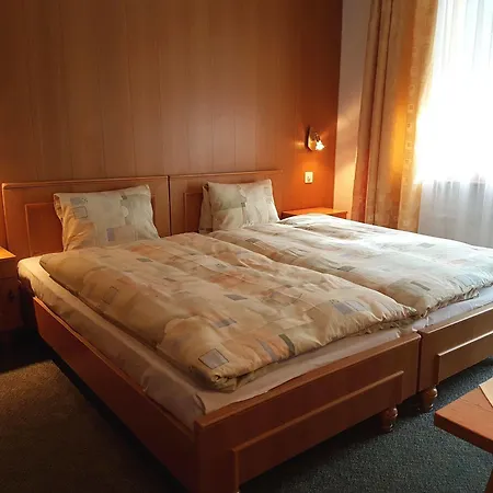 Dom Hotel Saas-Grund
